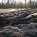 Brian Fields Photo 16