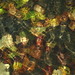 Angela Pond Photo 11