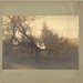 Constance Coleman Photo 14