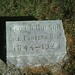 George Nicholson Photo 15