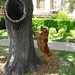 Lyman Graham Photo 10