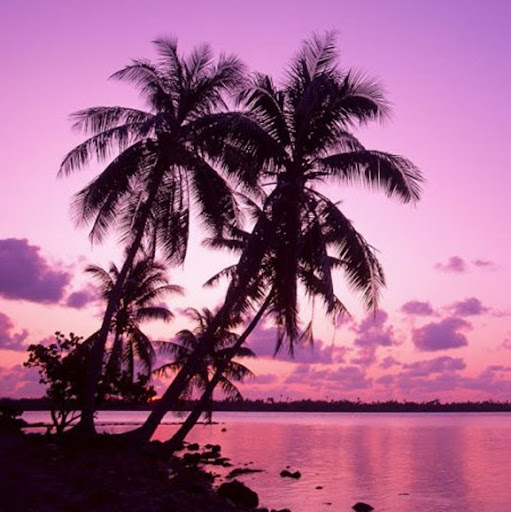 Nebojsa Savic Photo 17