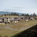 Steven Hammonds Photo 27