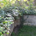 Beverly Wall Photo 29