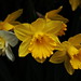 Rich Bernhardt Photo 14