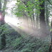 Autumn Pickering Photo 8