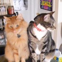 Leroy Brown Photo 24