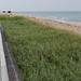 Charles Kluge Photo 13