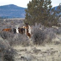 Donna Saunders Photo 39