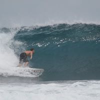 Theodore Baxter Photo 23