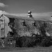 Doris Barrow Photo 10