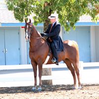 Dana Leavitt Photo 11
