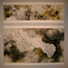 Jennifer Culkin Photo 7
