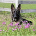 Julie Schafer Photo 20