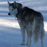 Ellen Armbruster Photo 5
