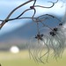 Joy Winters Photo 18