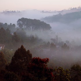 Thang Ho Photo 10