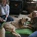 Jesse Olson Photo 16