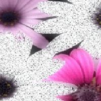 Lidia Fernandez Photo 26