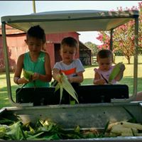 Lisa Baucom Photo 17