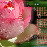 Lu Chen Photo 6