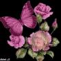 Diane Dotson Photo 35