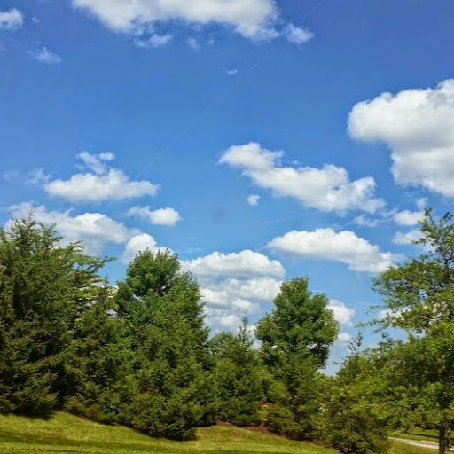 Virginia Sharp Photo 20