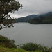 Paula George Photo 48