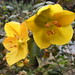 Lora Bush Photo 10