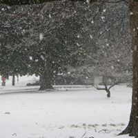 Mary Sudduth Photo 23