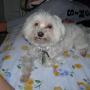 Rex Adams Photo 11