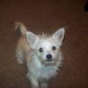 Linda Mixon Photo 16