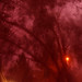 Jason Guss Photo 11