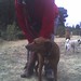 Kelly Doyle Photo 17