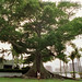 Lisa Scholl Photo 19