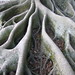 Marie Root Photo 15