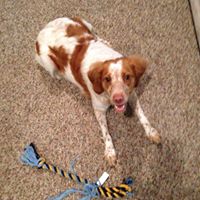 Cheryl Christopherson Photo 5