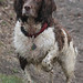 Leigh Springer Photo 1