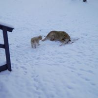 Linda Ferrell Photo 5