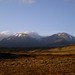 Gary Coe Photo 5