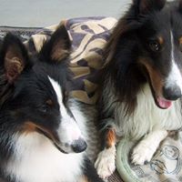 Debra Tew Photo 8