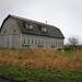 Susan Winters Photo 23