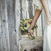 Lisa Litchfield Photo 23