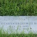 Nancy Carpenter Photo 12