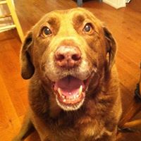 Becky Riffe Photo 3