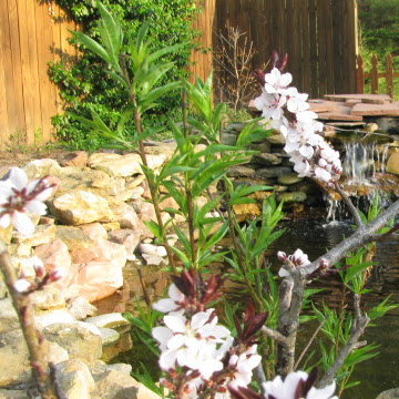 Martha Ford Photo 35