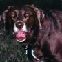 Nancy Stevens Photo 35