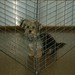 Chloe Do Photo 6