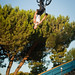 Allan Cooke Photo 19