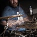 Ellis Ingram Photo 14